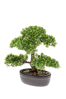 Emerald Kunstplant Bonsai Ficus mini 32cm