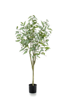 Emerald Kunstboom Eucalyptus Globulus 150cm