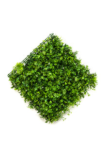 Emerald Kunst Plantenwand Buxus/oxalis UV 50x50cm