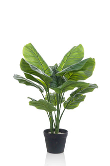 Emerald Kunstplant Calathea Orbifolia 70cm
