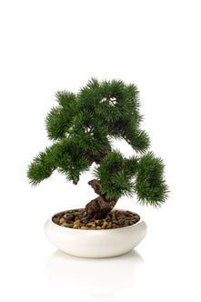Emerald Kunstplant Bonsai Pinus 37cm