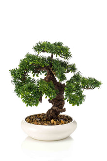 Emerald Kunstplant Bonsai Ficus mini 37cm