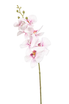 Emerald Kunstbloem Phalaenopsis roze 84cm