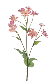 Emerald Kunstbloem Astrantia roze 70cm