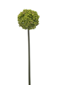 Emerald Kunstbloem Allium groen 74cm