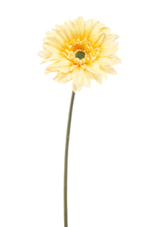 Emerald Kunstbloem Gerbera REC lichtgeel 63cm