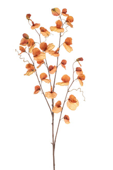 Emerald Kunstbloem Pronkerwt 110cm donkeroranje