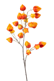 Emerald Kunstbloem Physalis 90cm oranje