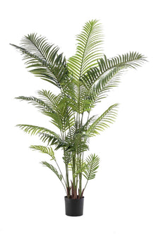 Emerald Kunstplant Paradise Palm 200cm