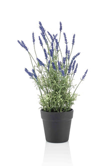 Emerald Kunstplant in pot Lavendel 50cm