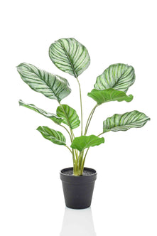 Emerald Kunstplant in pot Calathea Orbifolia 45cm