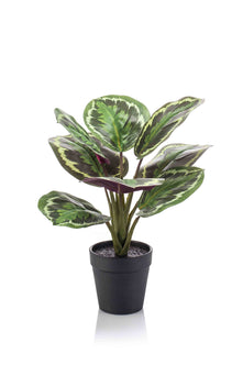 Emerald Kunstplant in pot Calathea groen 30cm