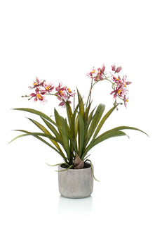 Emerald Kunstplant in pot Oncidium bordeux 45cm