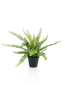 Emerald Kunstplant in pot Varen struik 35cm