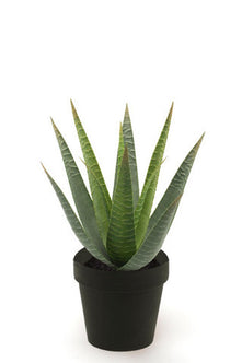 Emerald Kunstplant in pot Aloe Vera 32cm