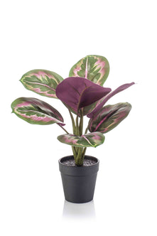 Emerald Kunstplant in pot Calathea groen/roze 30cm