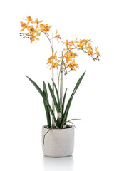 Kunst Orchidee