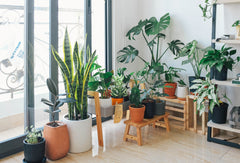 Artificial trees