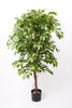 Emerald Kunstboom Ficus Deluxe Vine 140cm