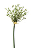 Emerald Kunstbloem Allium bloemknoppen 70cm wit