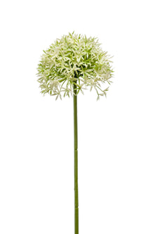 Emerald Kunstbloem Allium 62cm groen