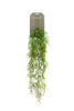Emerald Kunst Klimplant Rhypsalis 90cm