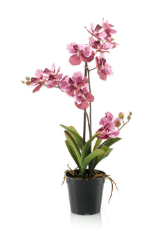 Emerald Kunstplant Vanda in pot oudroze 60cm