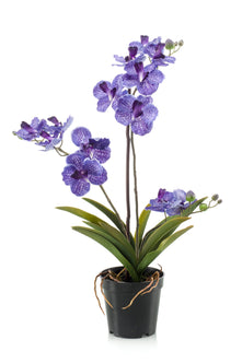 Emerald Kunstplant Vanda in pot paars 60cm