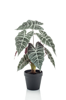 Emerald Kunstplant in pot Alocasia 40cm