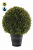 Emerald Kunstplant Buxus bol in pot UV 68cm