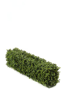 Emerald Kunstplant Buxus haag UV 100x20x25cm