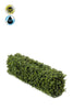 Emerald Kunstplant Buxus haag UV 100x20x25cm
