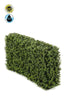 Emerald Kunstplant Buxus haag UV 100x20x50cm