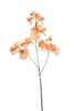 Emerald Kunstbloem Pronkerwt x3 75cm peach