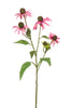 Emerald Kunstbloem Rudbeckia 73cm roze