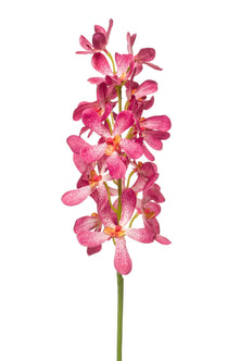 Emerald Kunstbloem Vanda RT 80cm roze