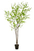 Emerald Kunstboom Tropaeolum 300cm