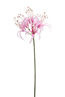 Emerald Kunstbloem Nerine 63cm lichtroze