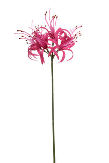 Emerald Kunstbloem Nerine 63cm roze