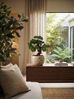 Emerald Kunstplant Bonsai Ficus mini 37cm