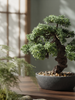 Emerald Kunstplant Bonsai Ficus mini 32cm
