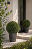 Emerald Kunstplant Buxus bol UV 40cm