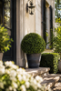 Emerald Kunstplant Buxus bol UV 40cm