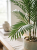 Emerald Kunstplant Chamaedorea Palm 120cm