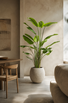 Emerald Kunstplant Strelitzia Nicolai 150cm