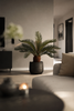 Emerald Kunstplant Cycas Palm 55cm