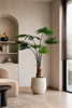 Emerald Kunstplant Livistona Palm 180cm