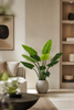 Emerald Kunstplant Philodendron 120cm groen