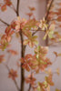Emerald Kunstboom Tropaeolum 270cm