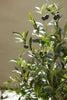 Emerald Kunstboom Olijfboom 180cm